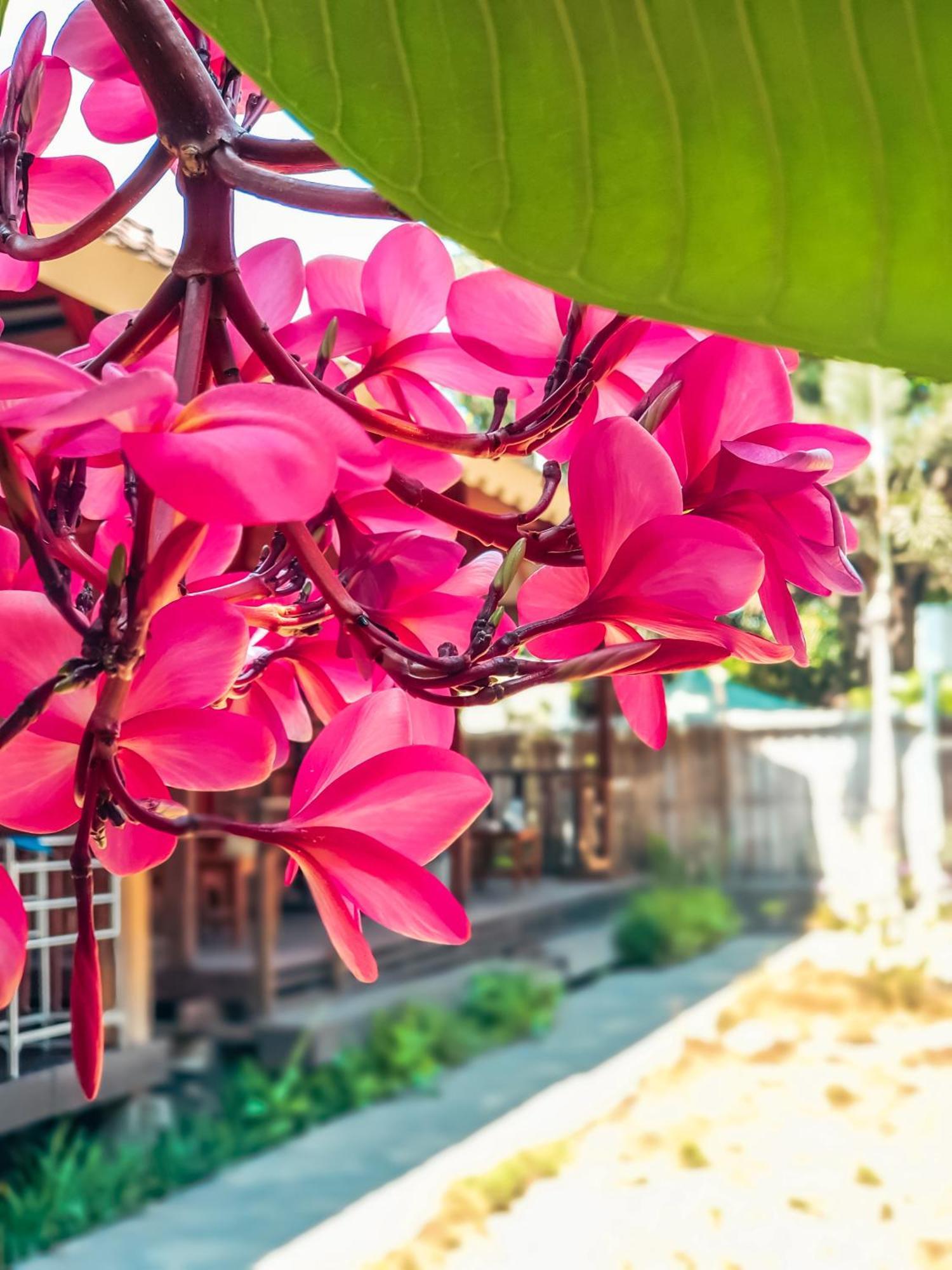 Leaf Coco Bungalow Gili Air Exteriér fotografie